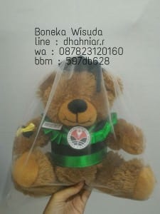 Boneka Wisuda Bogor