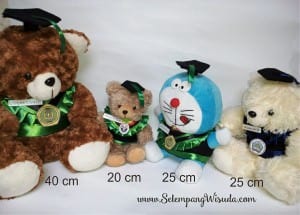 Boneka wisuda